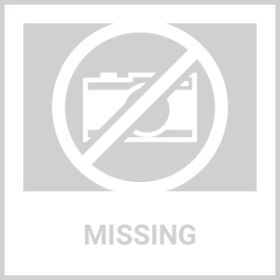 Bee Bread Powder 30 Sachets